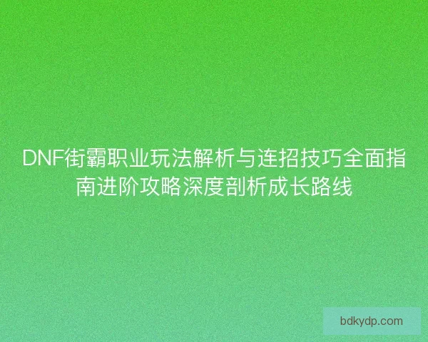 DNF街霸职业玩法解析与连招技巧全面指南进阶攻略深度剖析成长路线